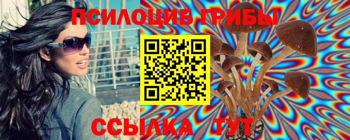 Галлюциногенные грибы мухоморы  Вход с VPN  Новочебоксарск 